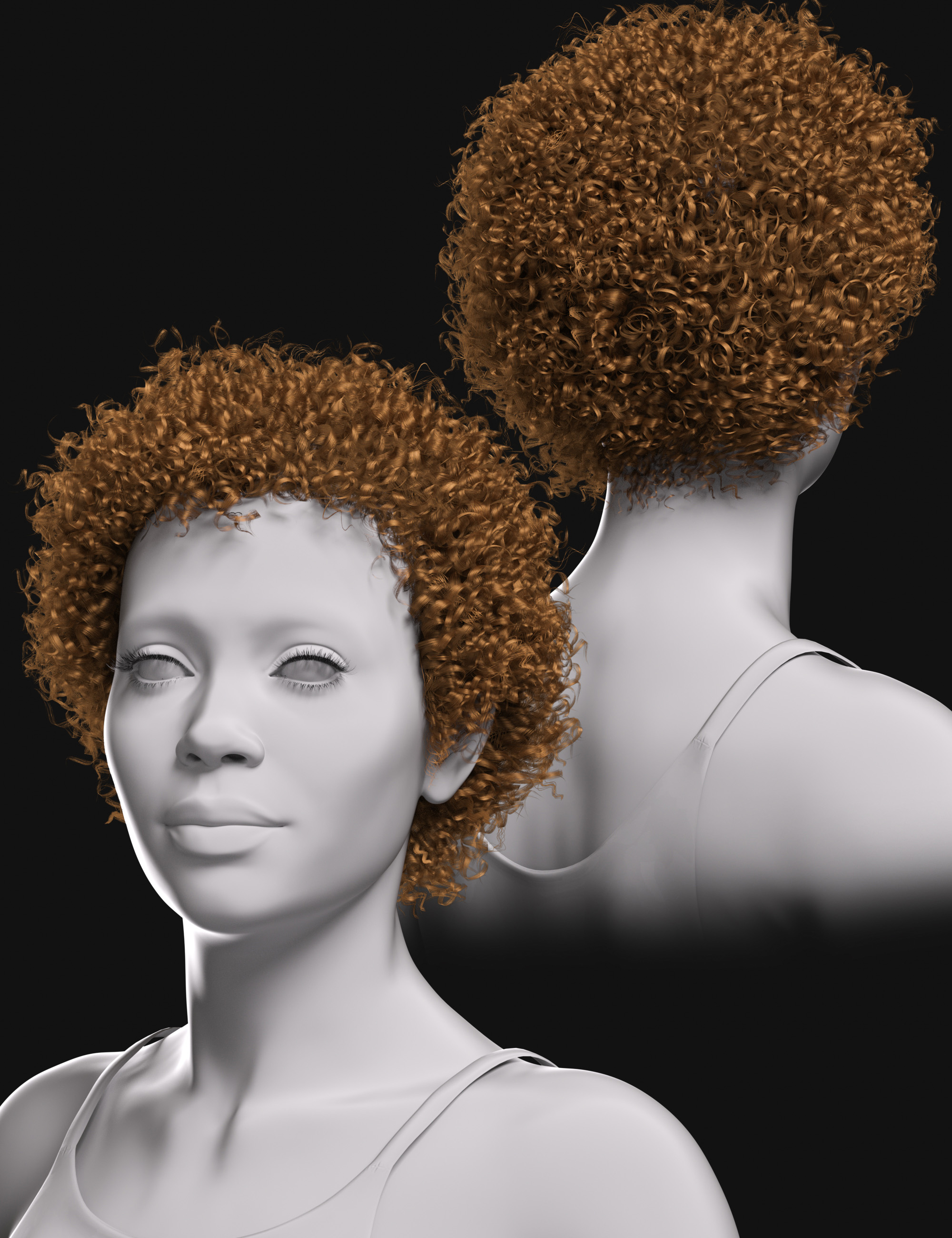 HS Coils of Beauty Hair For Genesis 9, 8, and 8.1 Females | Daz 3D