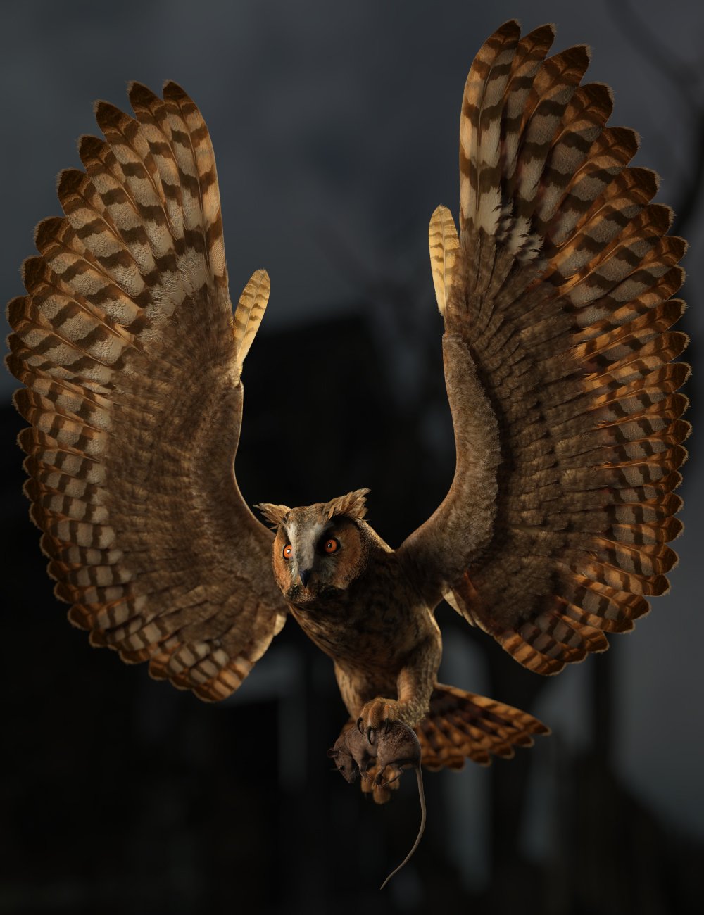 DS Fantasy Owl Species by: Deepsea, 3D Models by Daz 3D