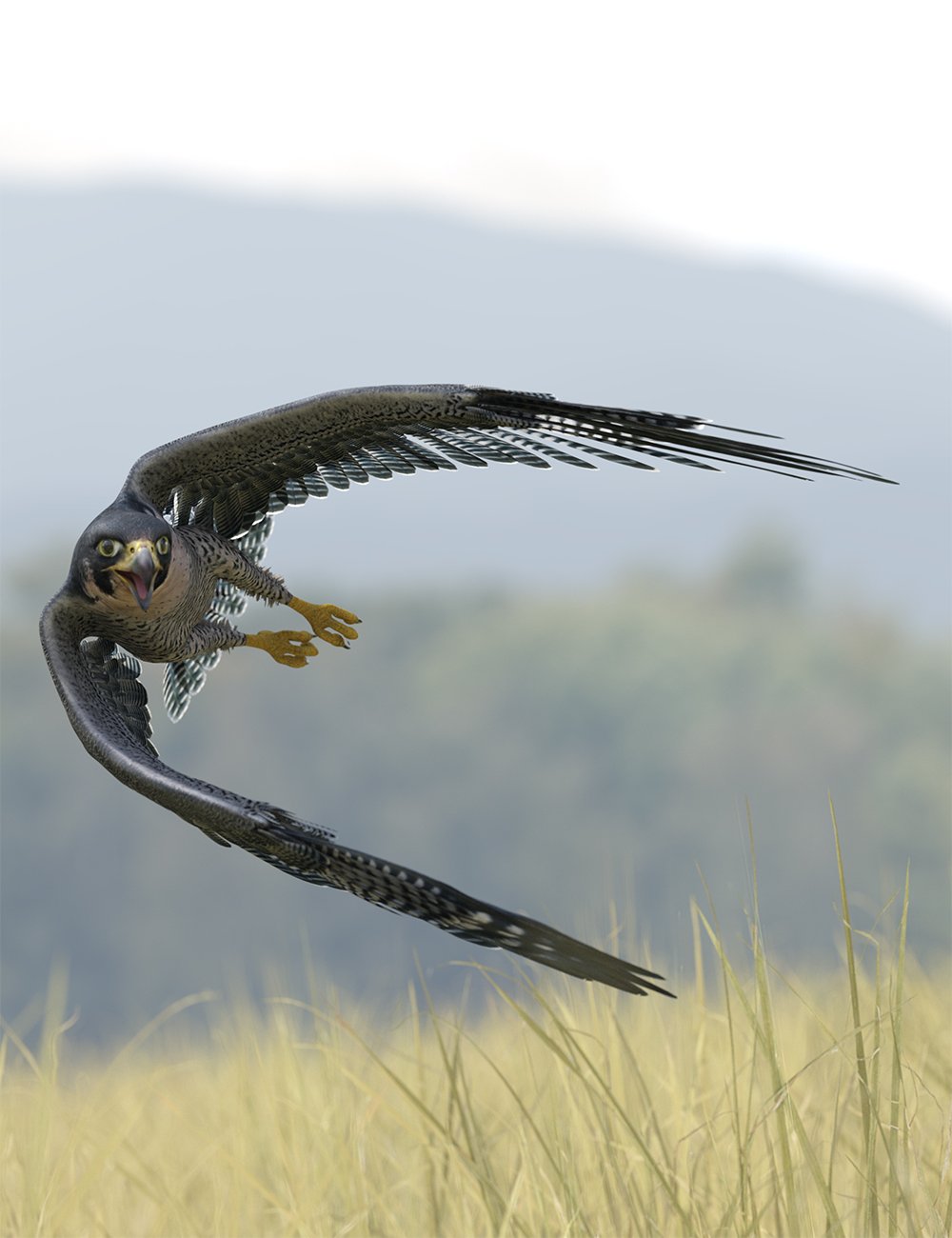 Falconry Redux Poses for DS Peregrine Falcon by: Ensary, 3D Models by Daz 3D