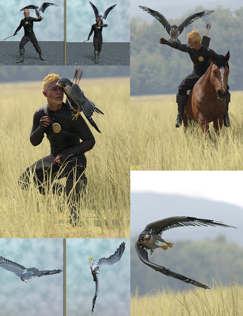 Falconry Bundle by: Ensary, 3D Models by Daz 3D