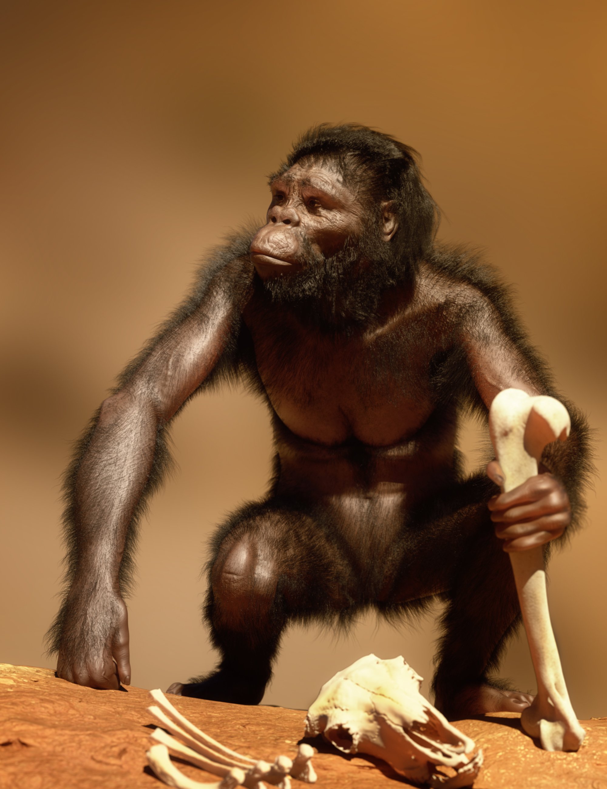 Australopithecus for Genesis 9 by: Alessandro_AM, 3D Models by Daz 3D