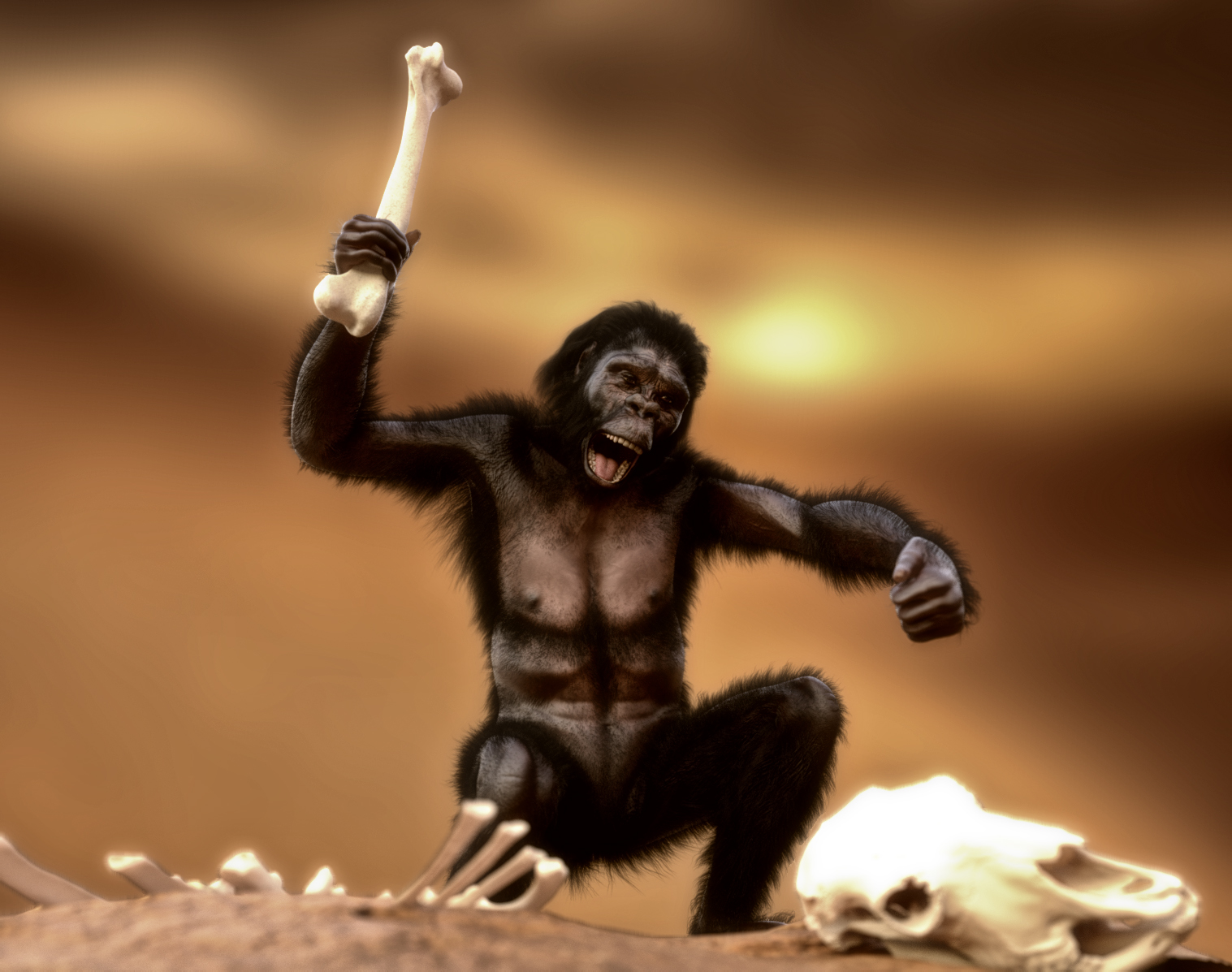 Australopithecus Images Animation Australopithecus for Genesis 9 | Daz 3D