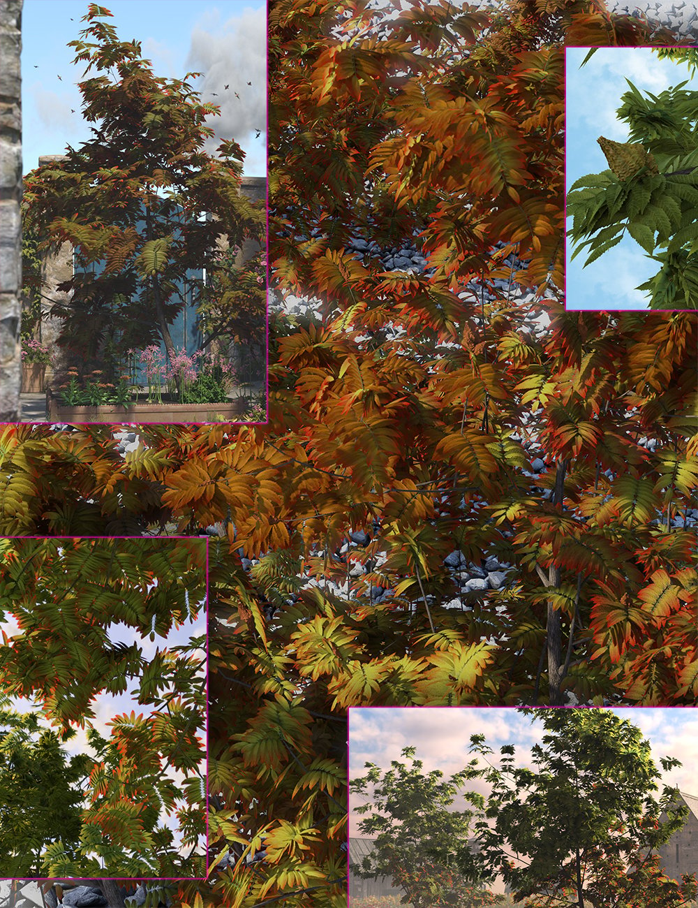 Prairie Shrubs and Trees - Sumac by: MartinJFrost, 3D Models by Daz 3D