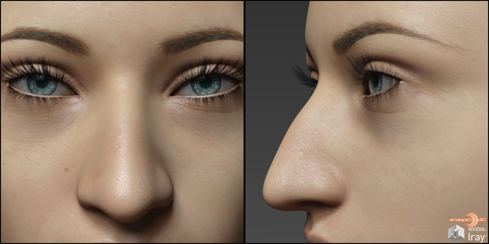 Nose Morphs for G8F Vol 1 by: Anagord, 3D Models by Daz 3D