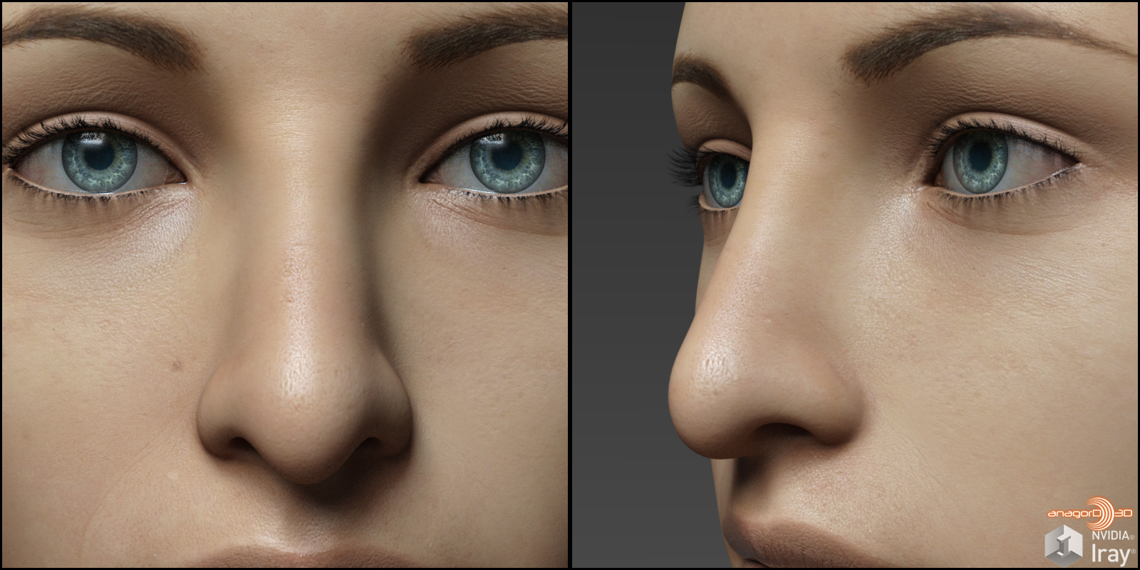 Nose Morphs for G8F Vol 2 by: Anagord, 3D Models by Daz 3D