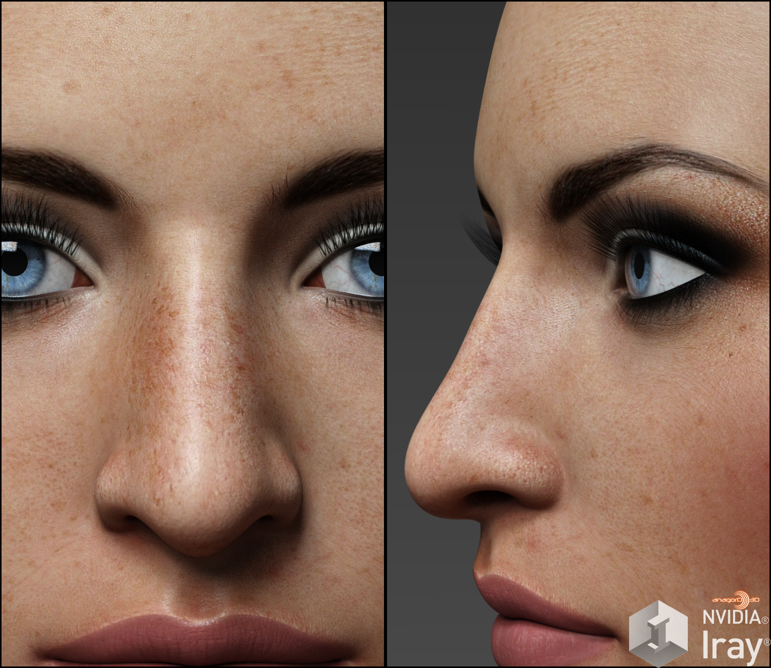 Nose Morphs for G3F Vol 1 by: Anagord, 3D Models by Daz 3D