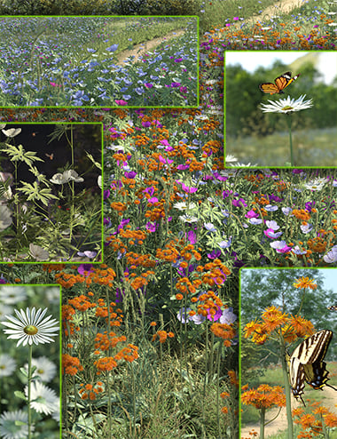 beautiful-flowers-on-the-