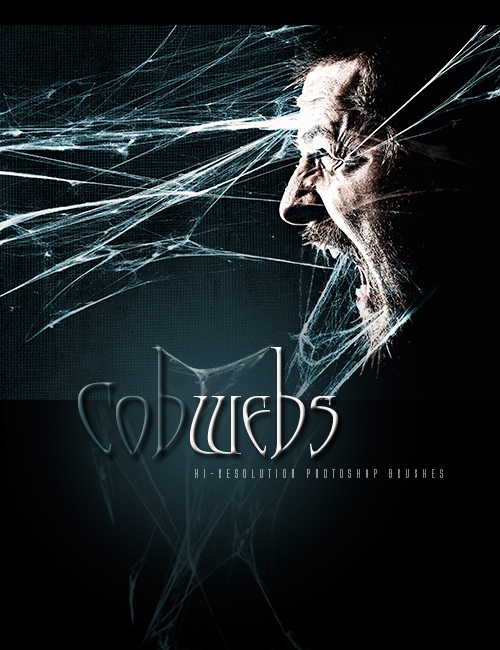 Ron's Cobwebs by: deviney, 3D Models by Daz 3D