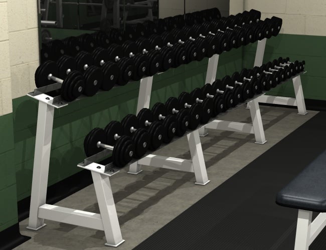 Free Weights Gym by: Ness Period Reproductions, 3D Models by Daz 3D