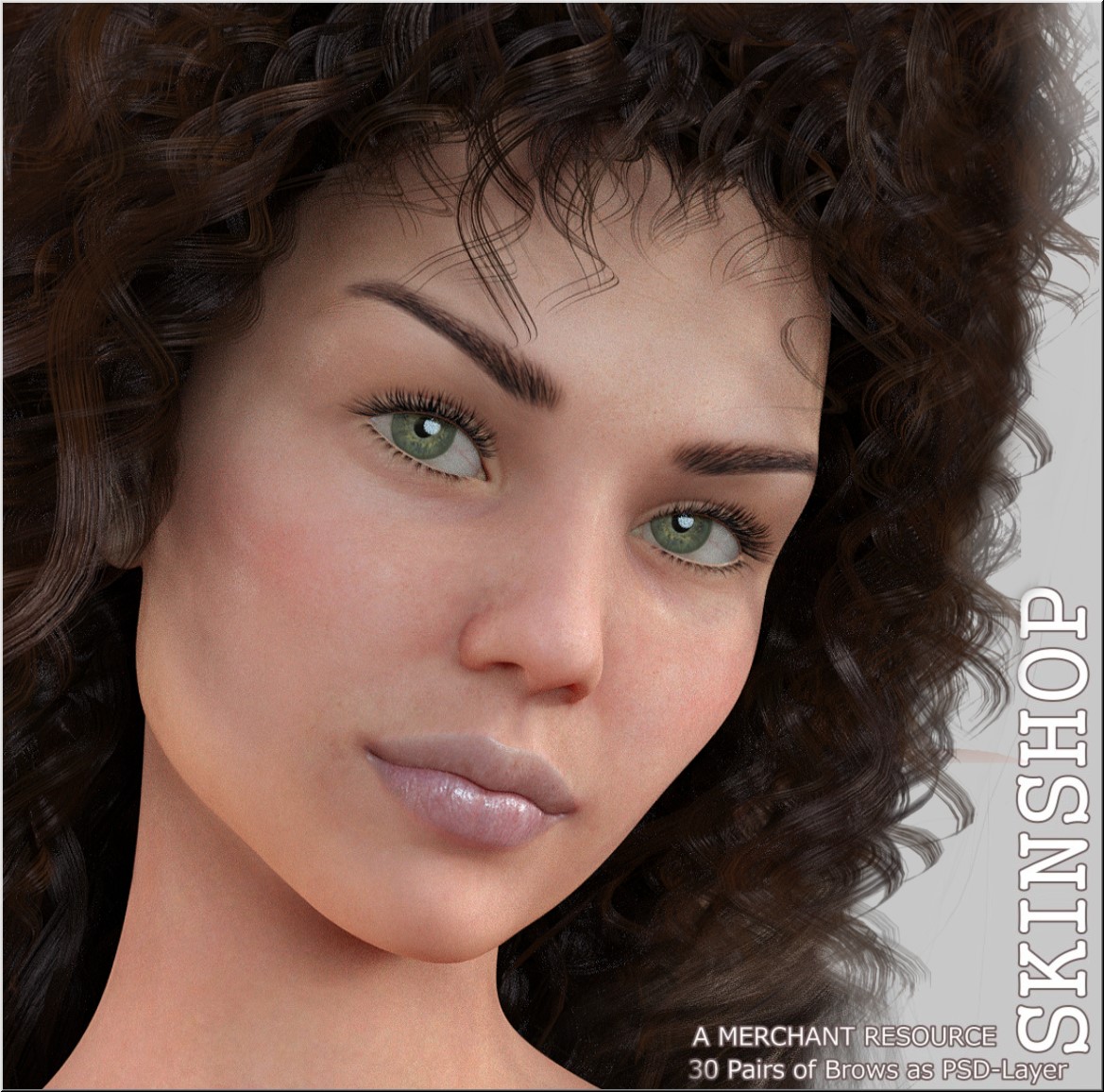 Skinshop - Eyebrows - Merchant Resource by: LUNA3D, 3D Models by Daz 3D