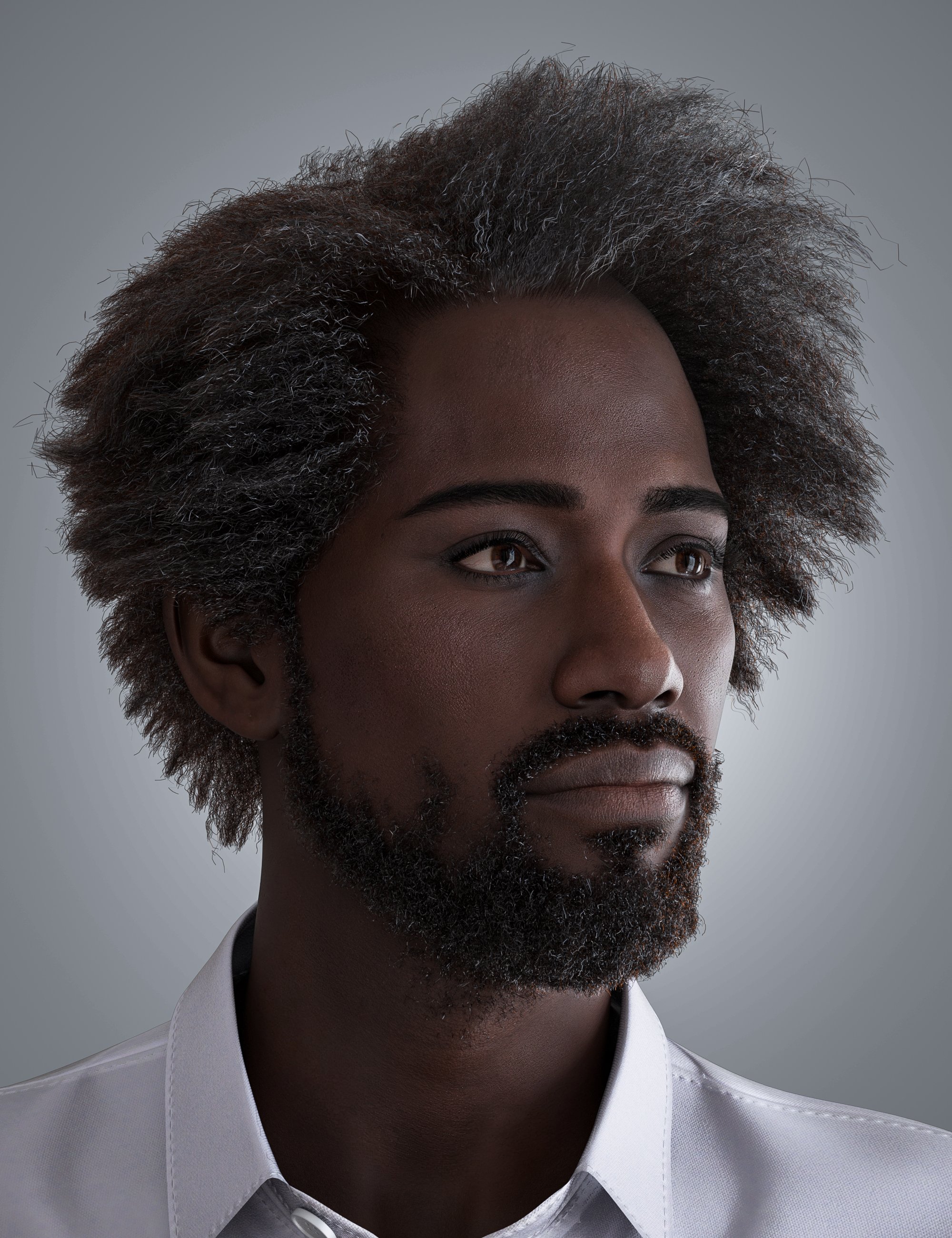 HS Mandeep Frizz Hair and Beard for Genesis 9 by: Hair Studio, 3D Models by Daz 3D
