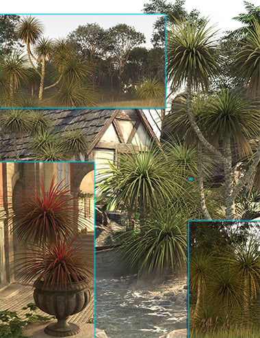 Tropical Cordyline Plants and Palm Trees | Daz 3D