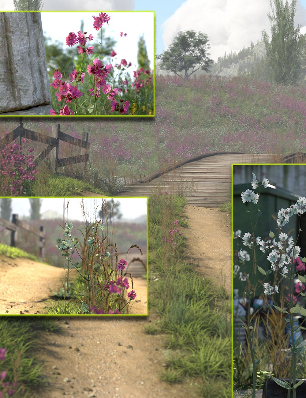 Wild Flowers - Campion by: MartinJFrost, 3D Models by Daz 3D
