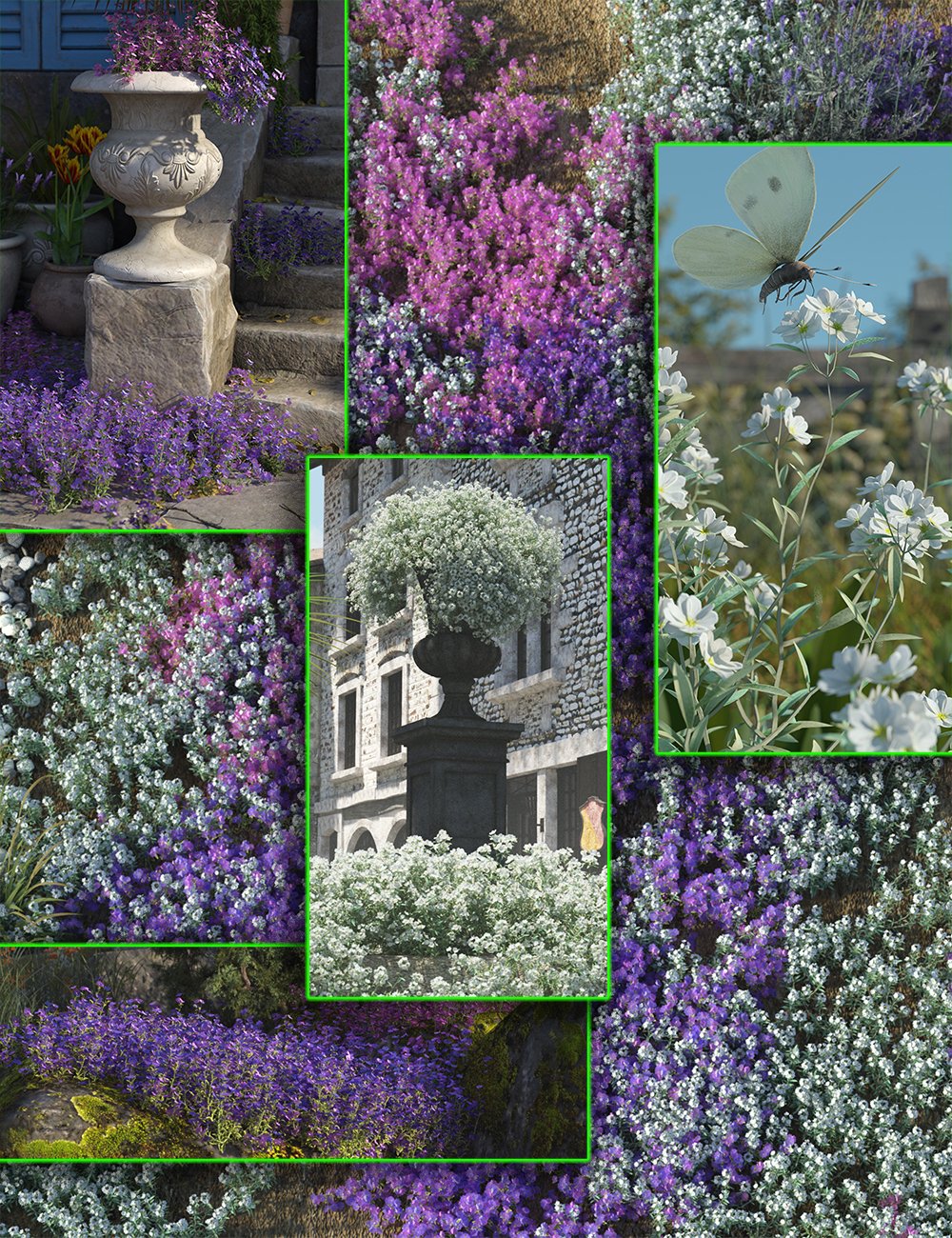 Cottage Garden Flowers Vol 1 by: MartinJFrost, 3D Models by Daz 3D