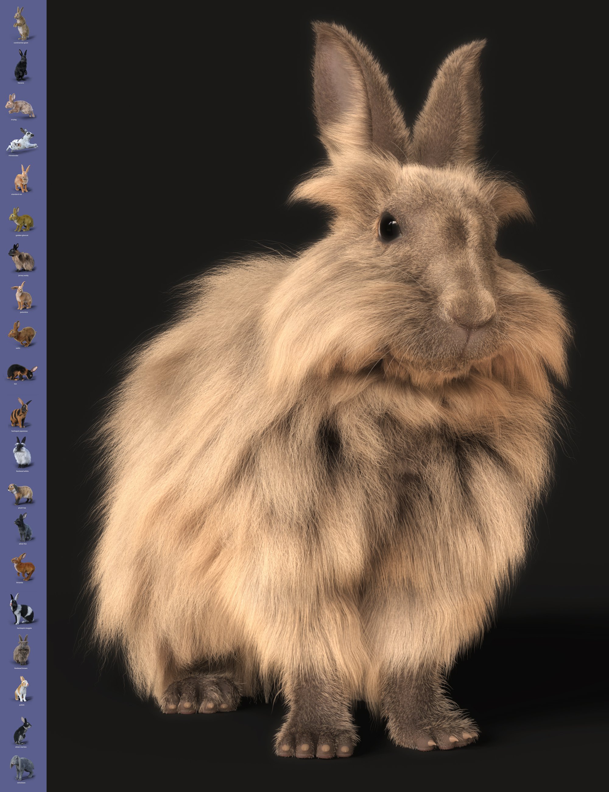 Rabbits by AM - Collection 1 by: Alessandro_AM, 3D Models by Daz 3D