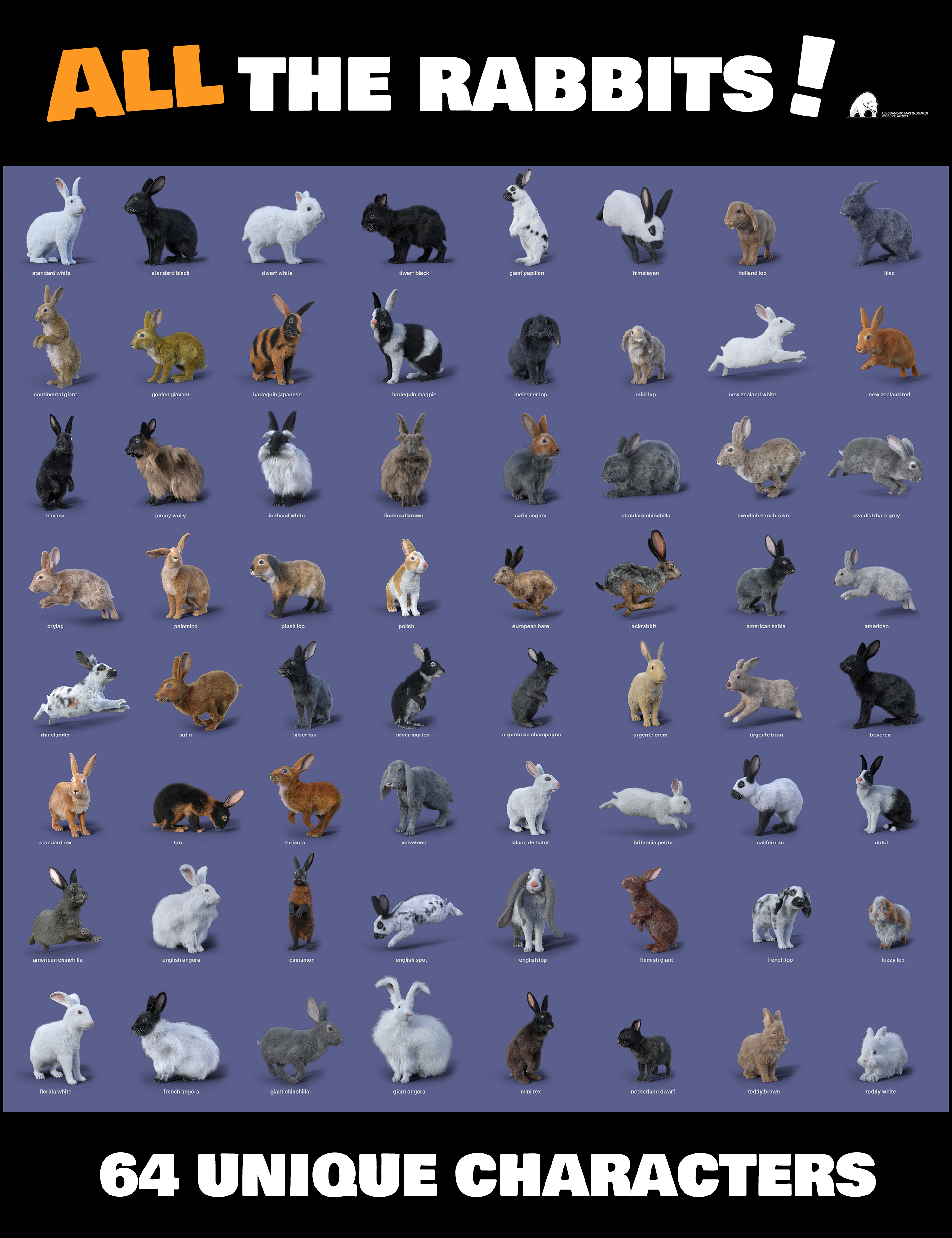 All the Rabbits by AM by: Alessandro_AM, 3D Models by Daz 3D